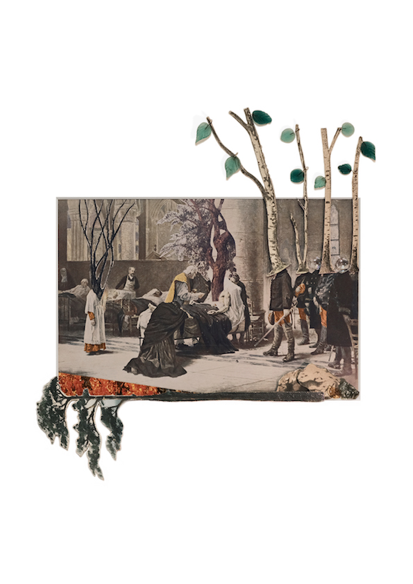 This image has an empty alt attribute; its file name is jpg_600dpi_thetreeveterinarians_a4_angleanddawn_editsbydawncross_2019.jpg